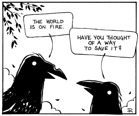 Crows discuss the state of the world.